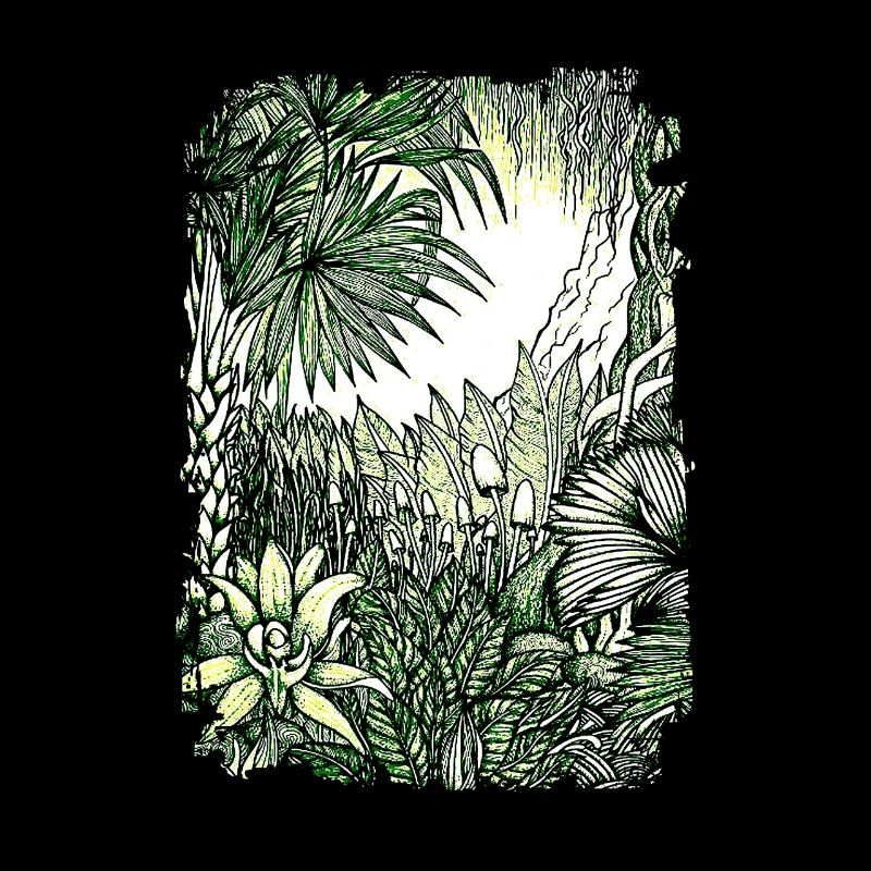 Jungle rainforest conservation Amazonas nature