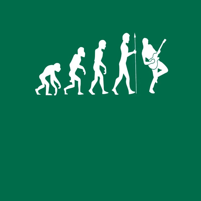 Evolution guitar guitarist gift idea