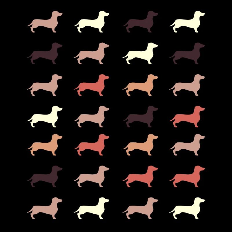 dachshund