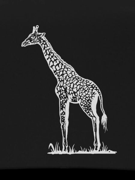 giraffe