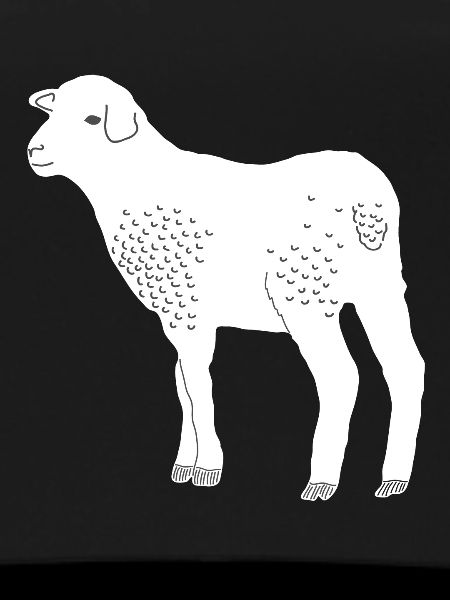 Mouton