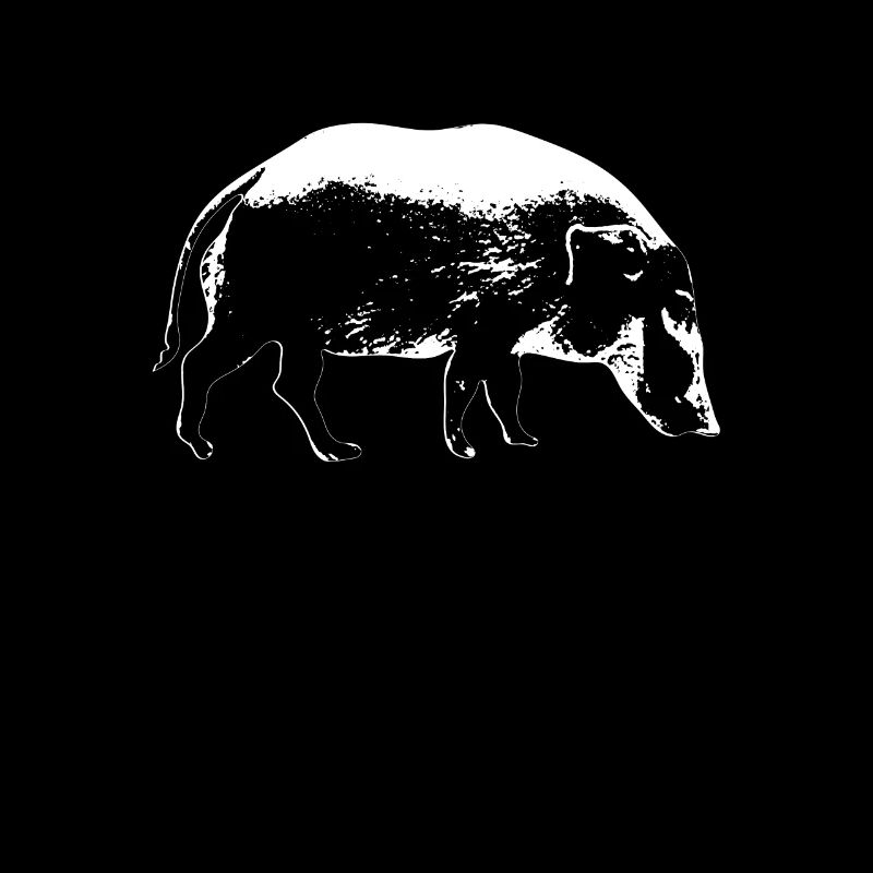 Booby pig Boar boar