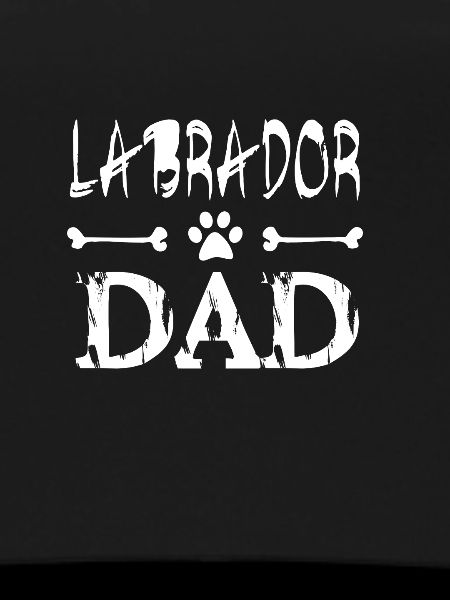 Labrador dad father