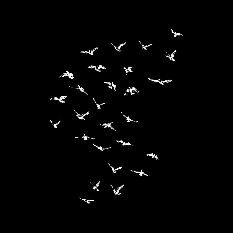 Oiseaux oiseaux volent