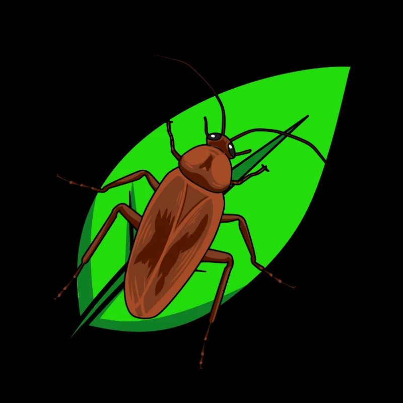 Insectes vermine cafards
