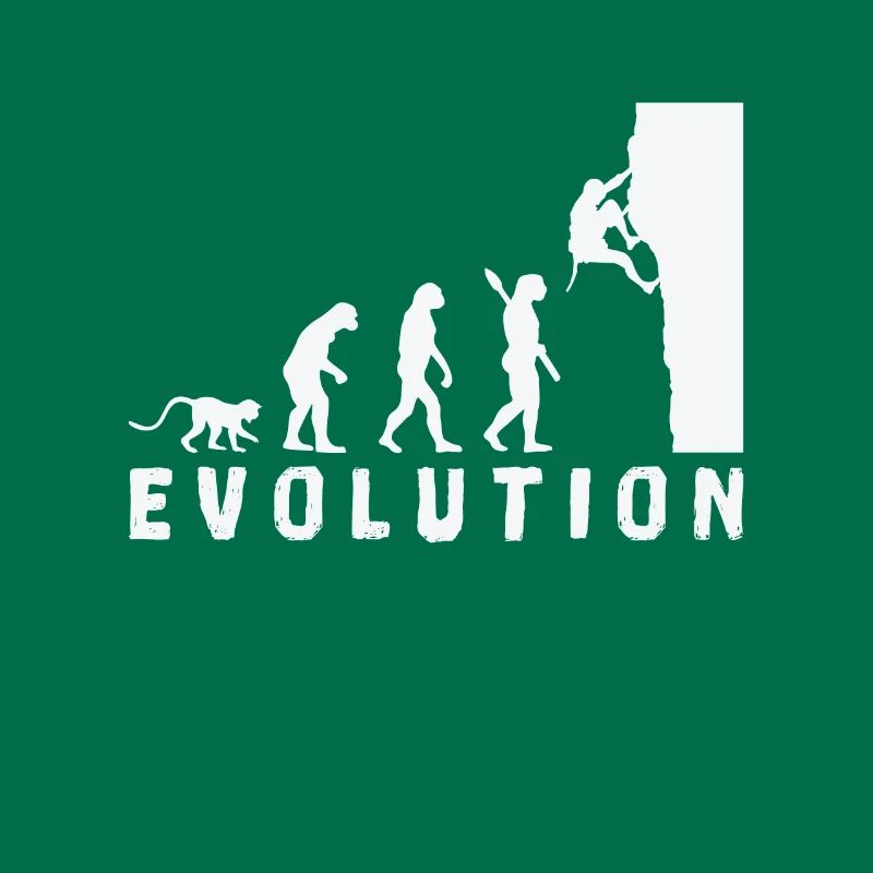 Climbing Bouldering Evolution