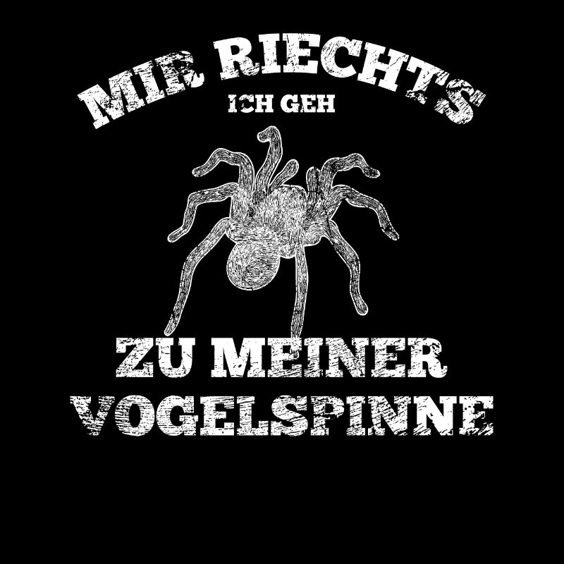 Spinne