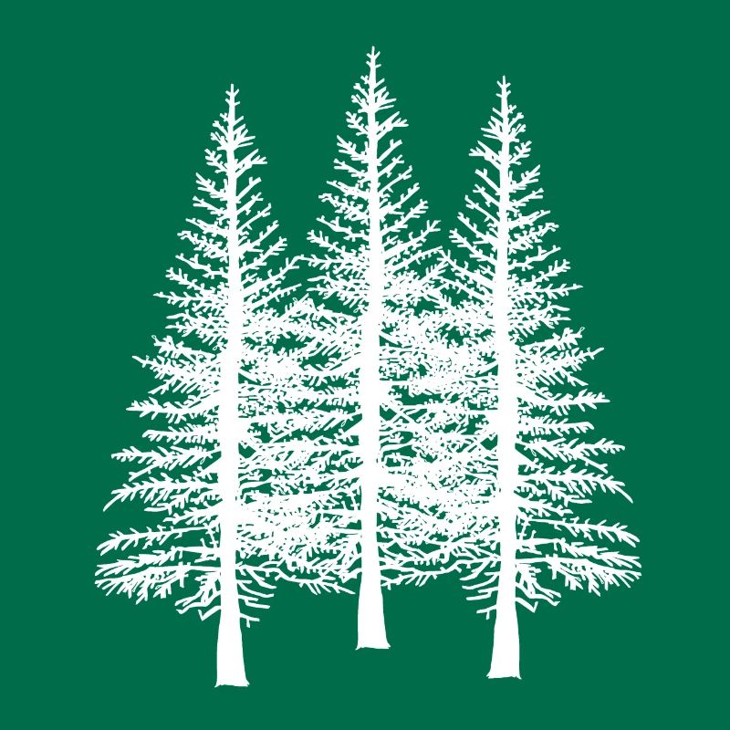 Forest tree trees nature conservation ecology environment