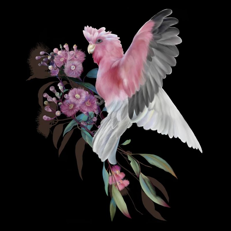 Galah sur la fleur d'eucalyptus