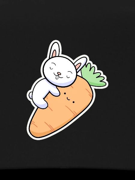 Carrot Rabbit