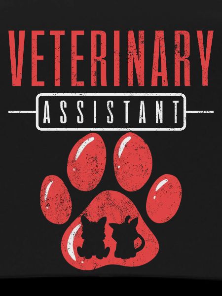 Veterinary Assistant Vet Tech