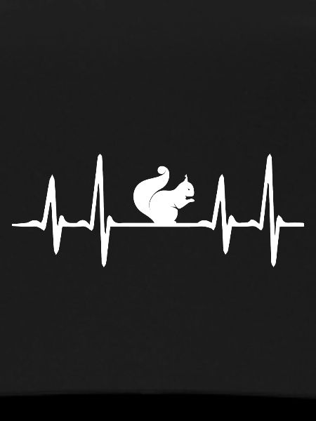 Squirrel heartbeat