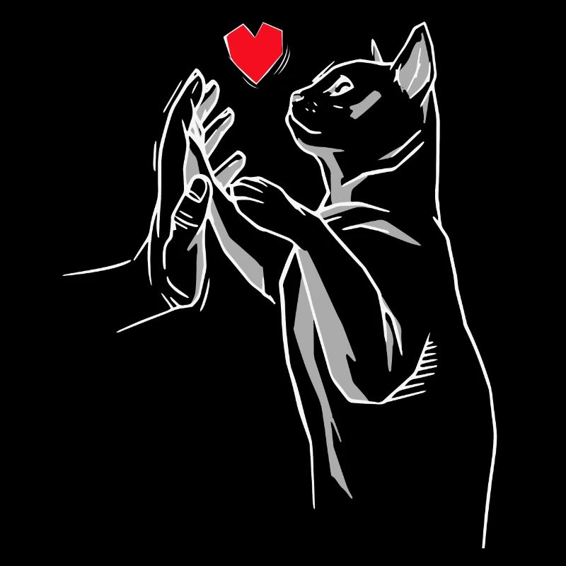 Stubentiger Chat Chat Chats Miaou Chat Amour