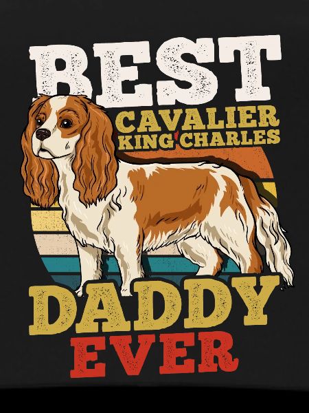 Cavalier Roi Charles