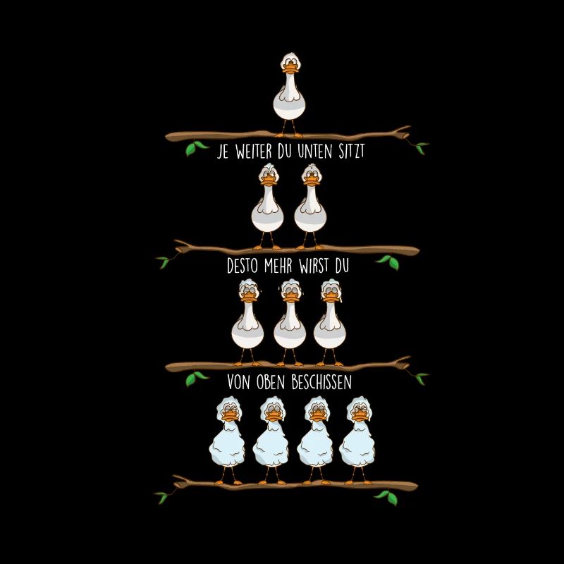 Seagulls hierarchy from above shoot North Germans