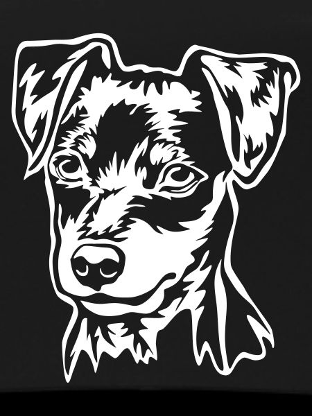 Miniature Pinscher head "Black Edition"