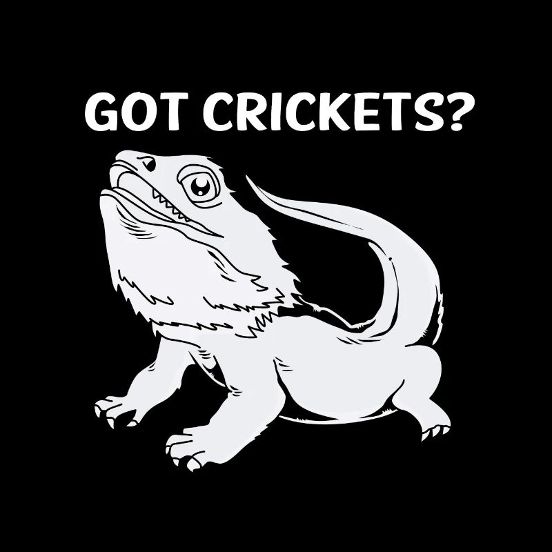 Bearded Dragon Bearded Dragon