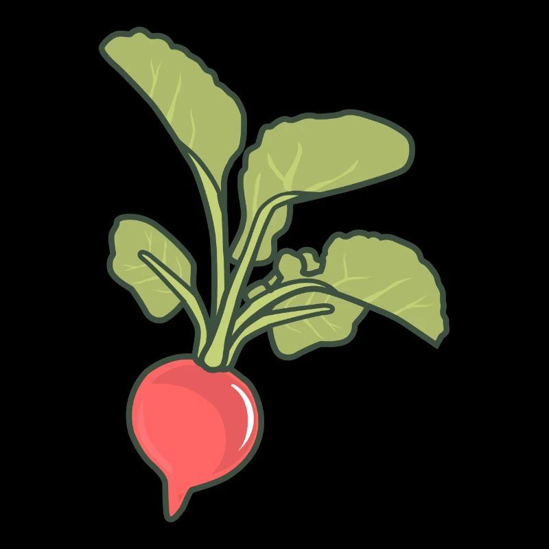 Radieschen