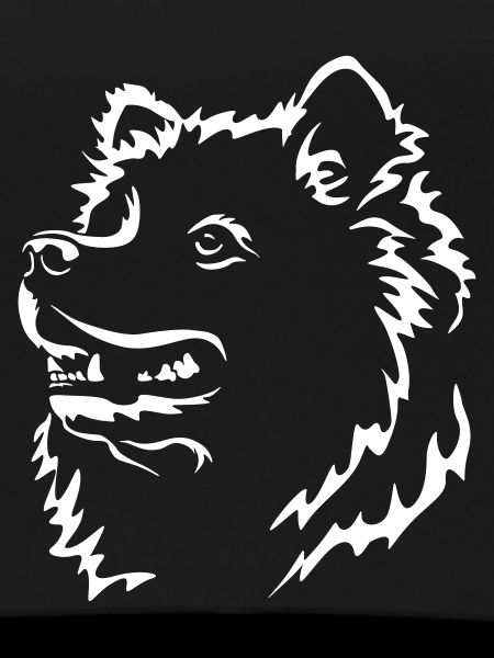 Samoyed Head "Black Edition"