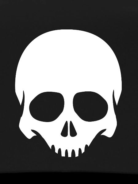 Skeleton Head Skull Skeleton