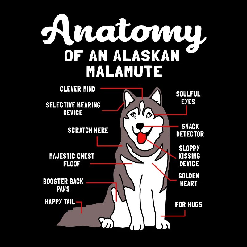 Malamute