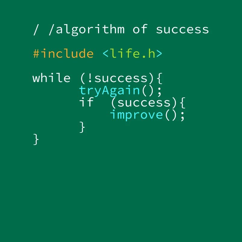 Entwickler Programmierer Erfolgs Code Coder
