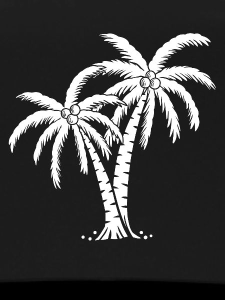 Palm tree