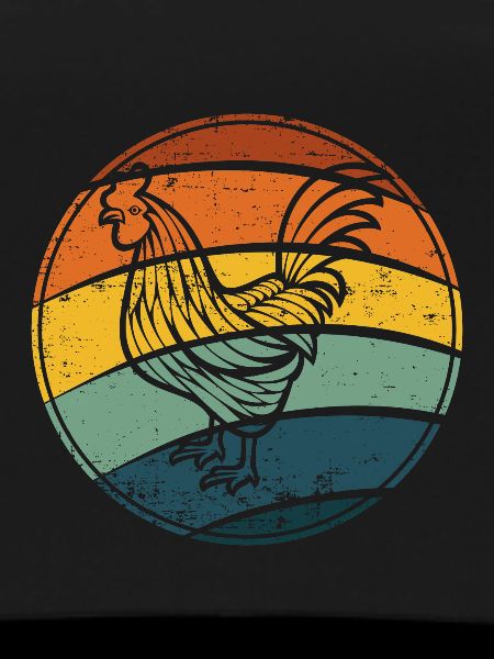 Rooster chicken hen
