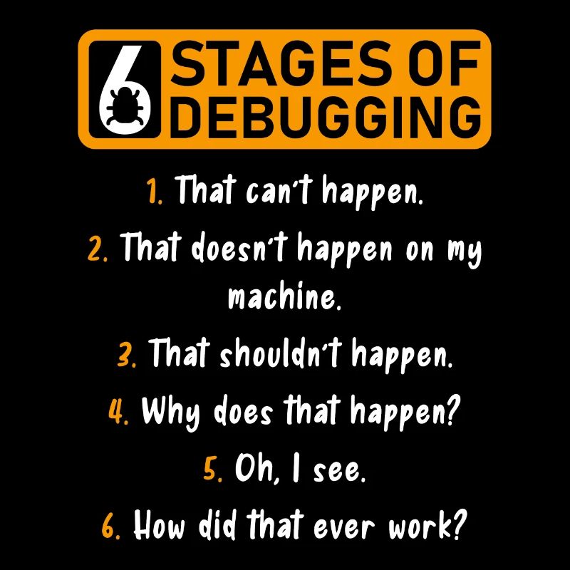 6 Stufen des Debugging Software Entwickler