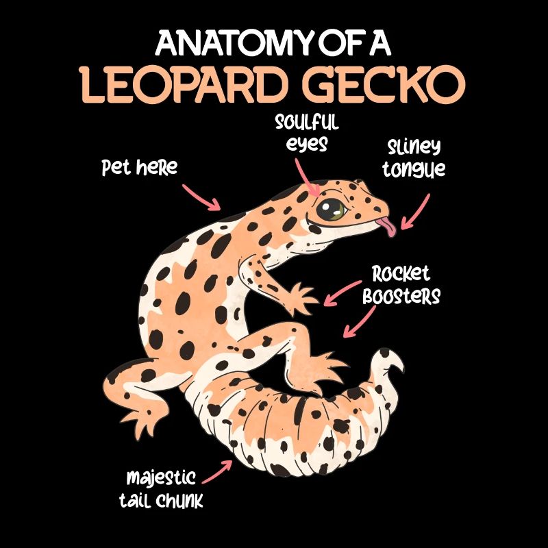 Terrarium Anatomie eines Gecko Echse Leopardgecko