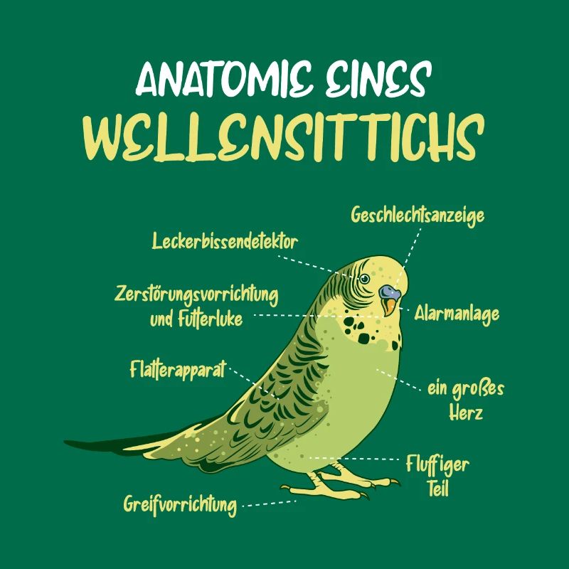 Anatomie d’une perruche à perruche