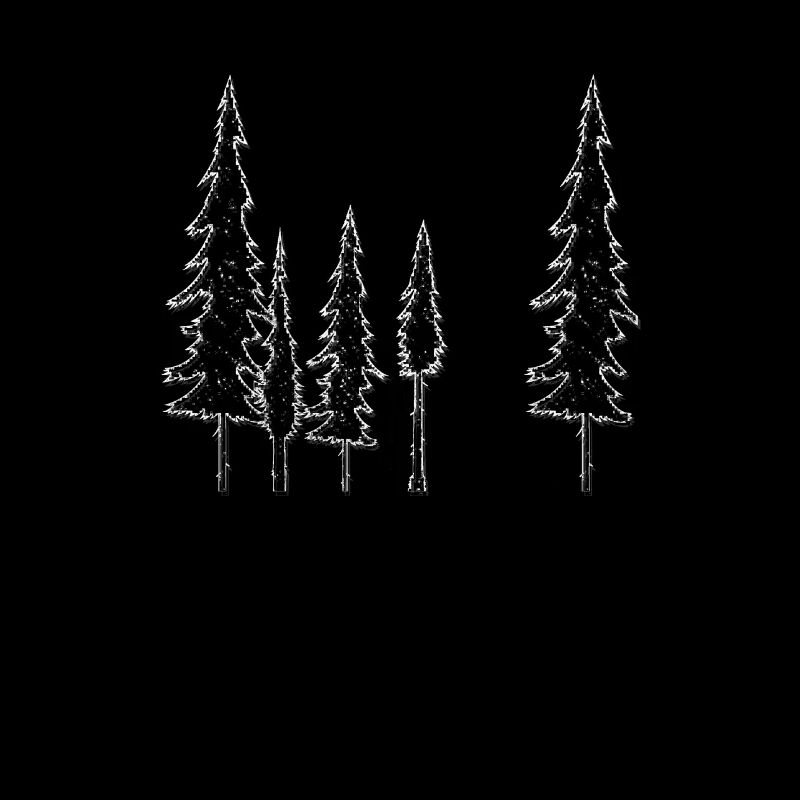 Forêt d’arbres