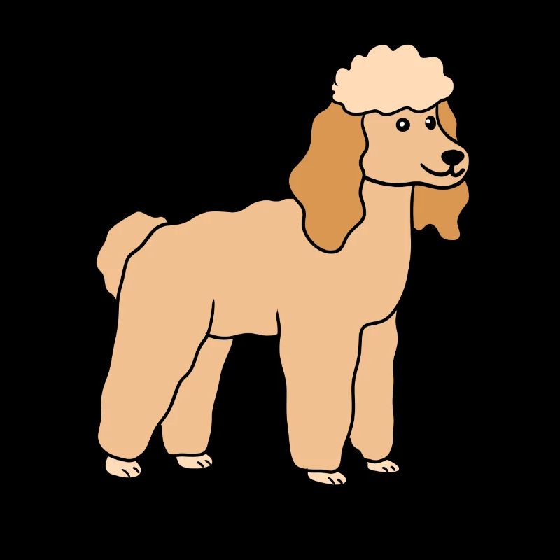 Caniche Chien Race de Chien