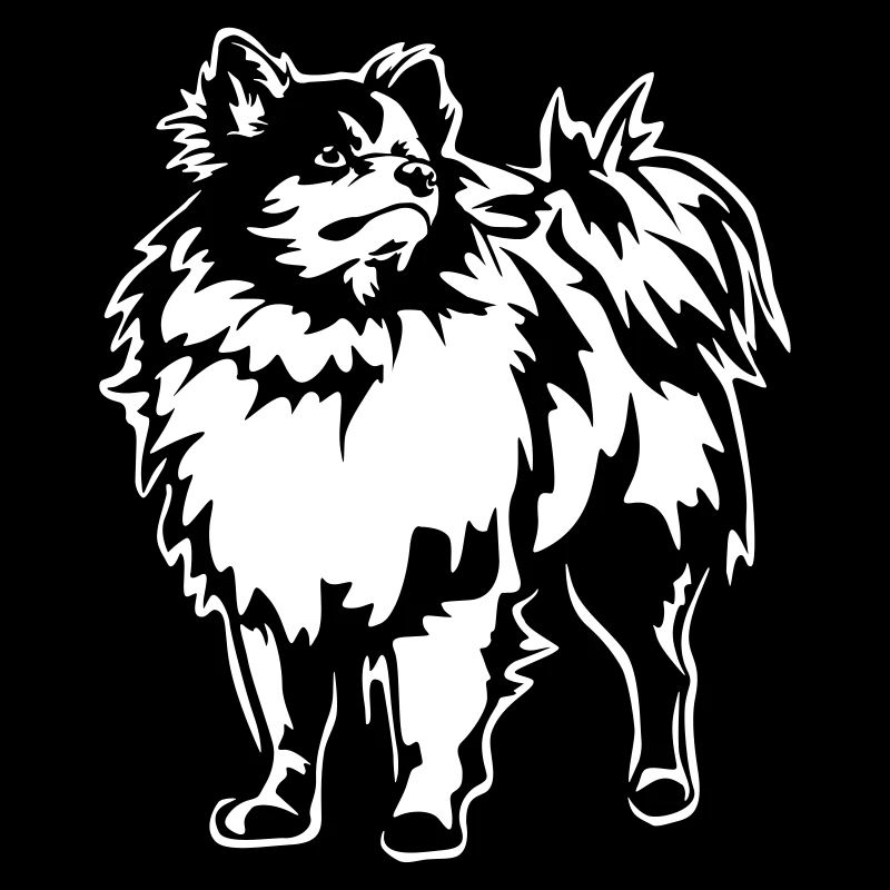 Spitz "Black Edition"