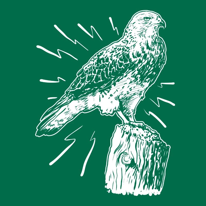 Ornithology Bird Lover Hawk Falcon Eagle