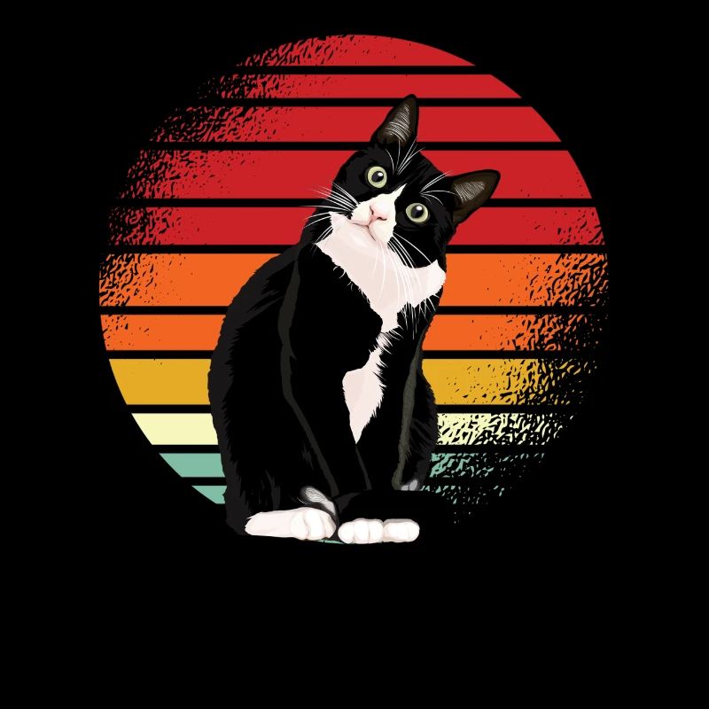 Chat Noir Rétro