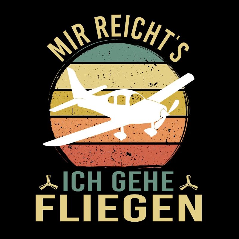 Modellbau Flugzeug Modellflug