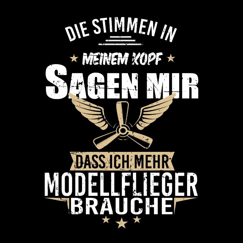 Modellbau Flugzeug Modellflug