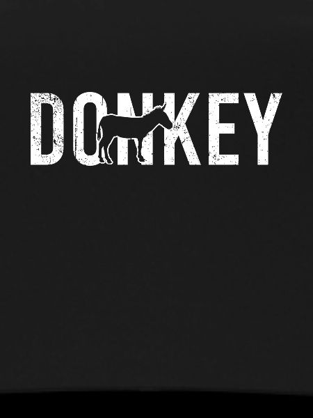 Donkey donkey