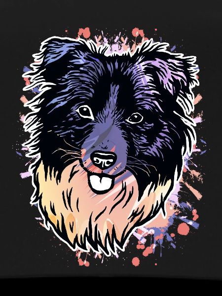 Border Collie Farbklecks
