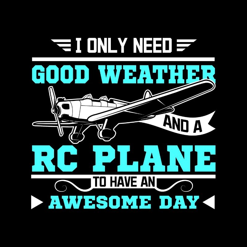 RC Plane awesome day