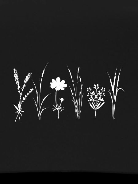 Wildflowers