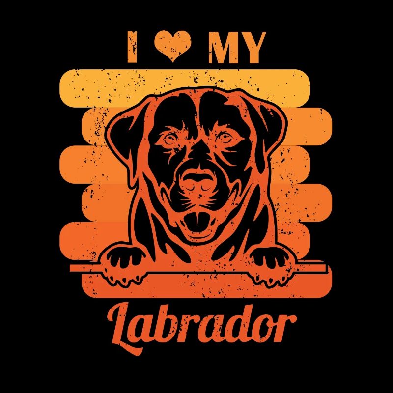 J’adore mon labrador