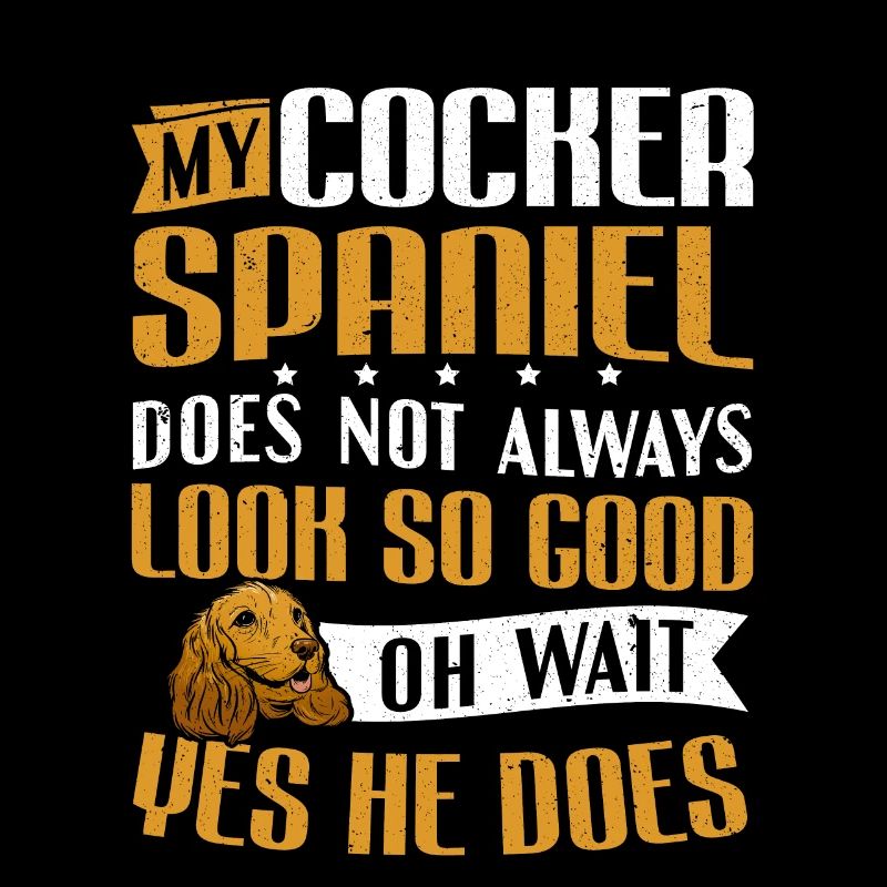 Mein Cocker Spaniel sieht gut aus