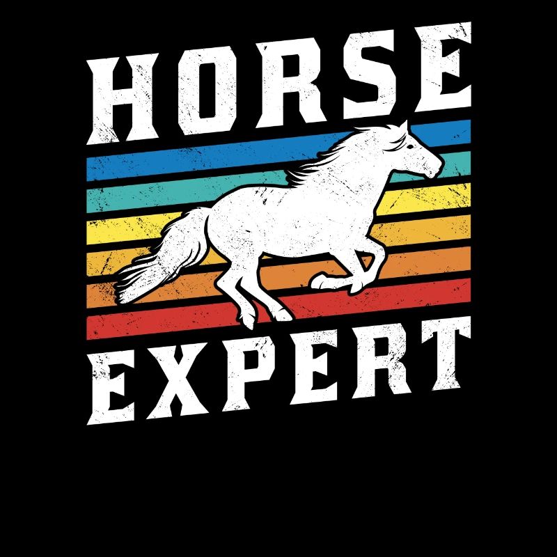 Chevaux Expert Équitation Écuries Équitation