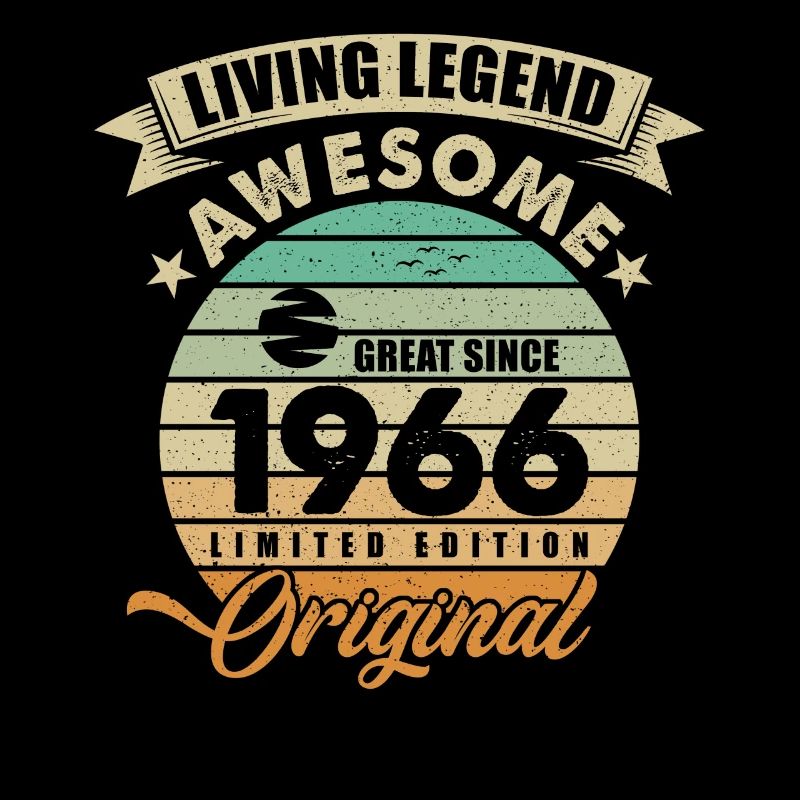 1966 Geburtstag Retro Orginal