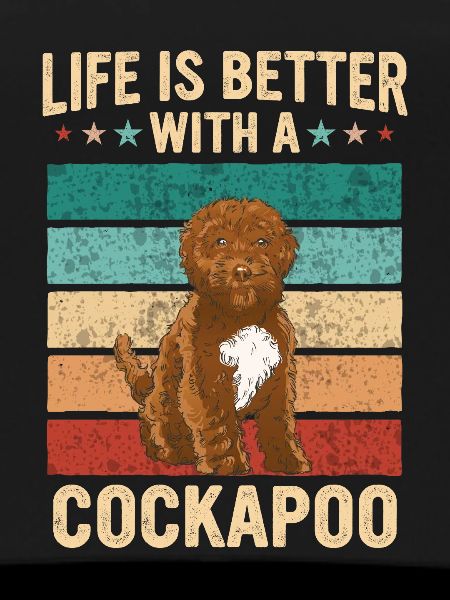 Cockapoo Hund