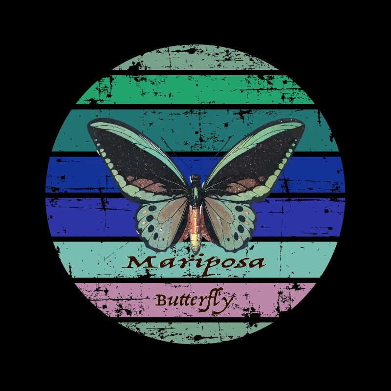 Papillon coloré