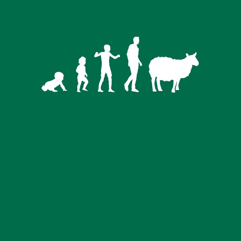 evolution bebe sheep humor sheep breeder