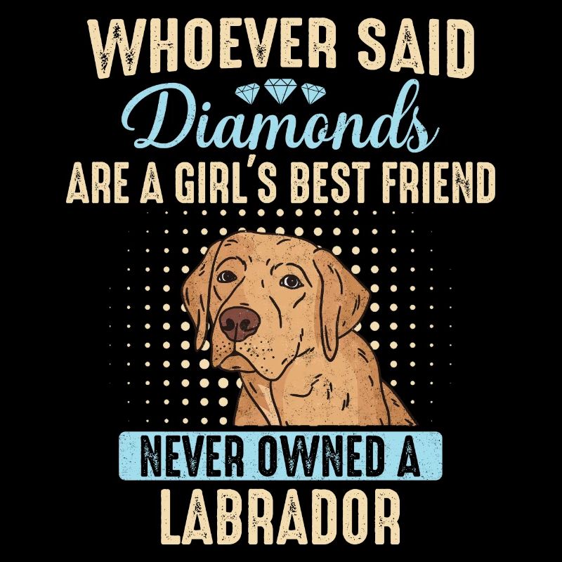 Labrador Hund
